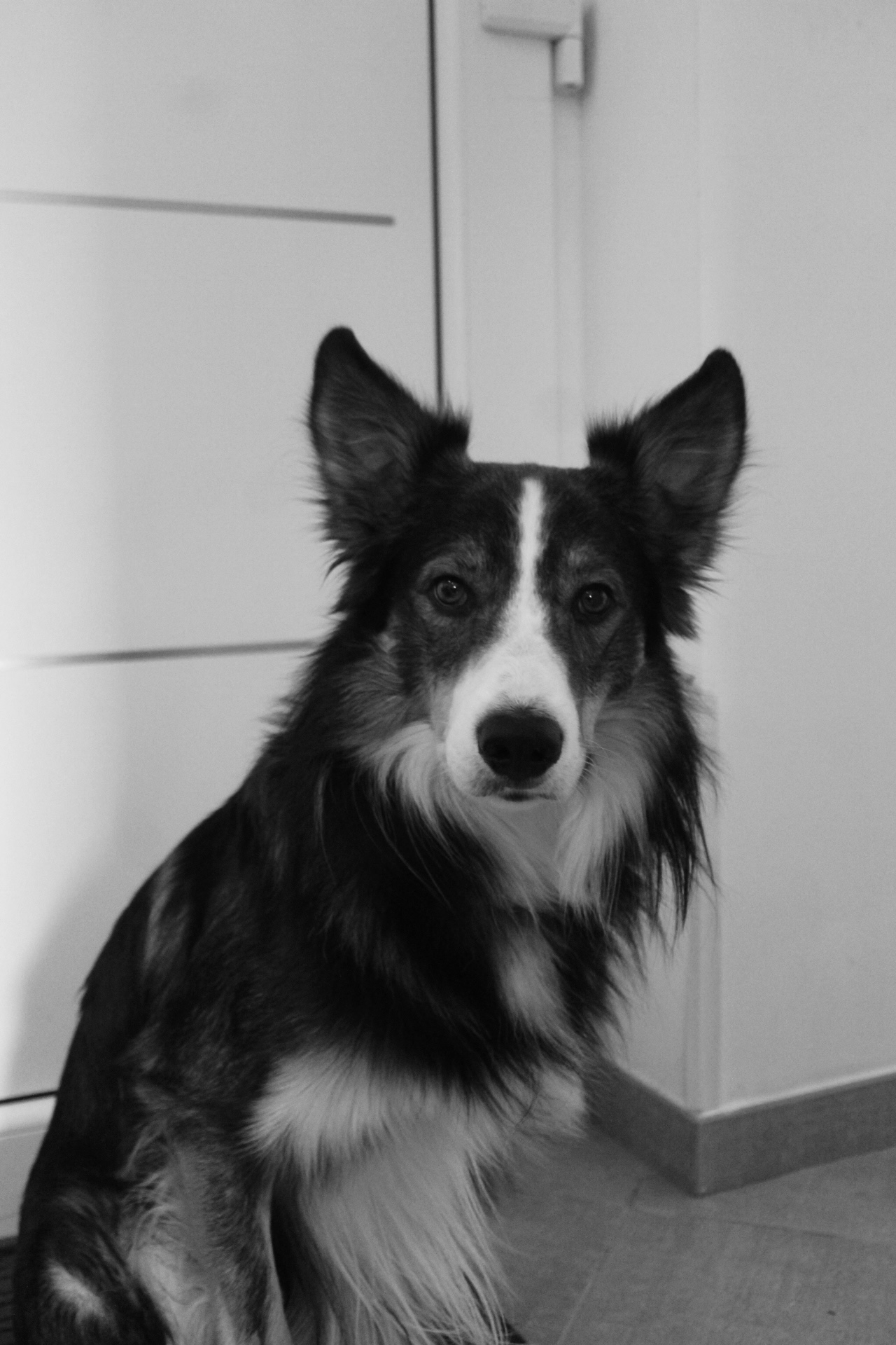 Tobio, égérie de la marque