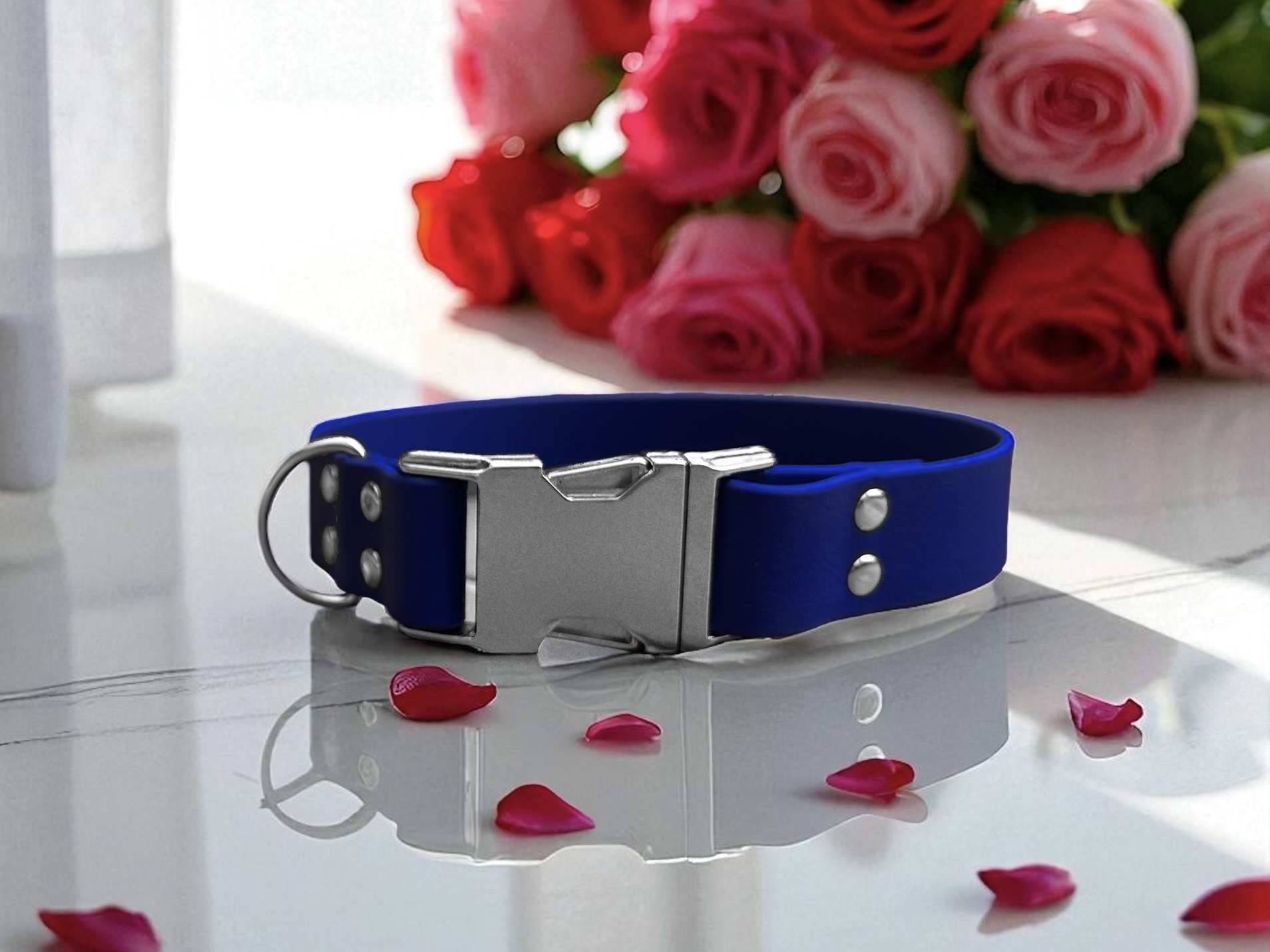 Collier en biothane de 2,5cm d'épaisseur