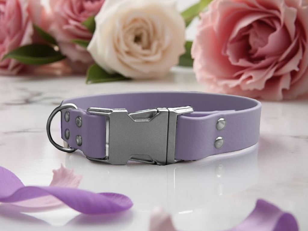 Collier en biothane de 2,5cm d'épaisseur