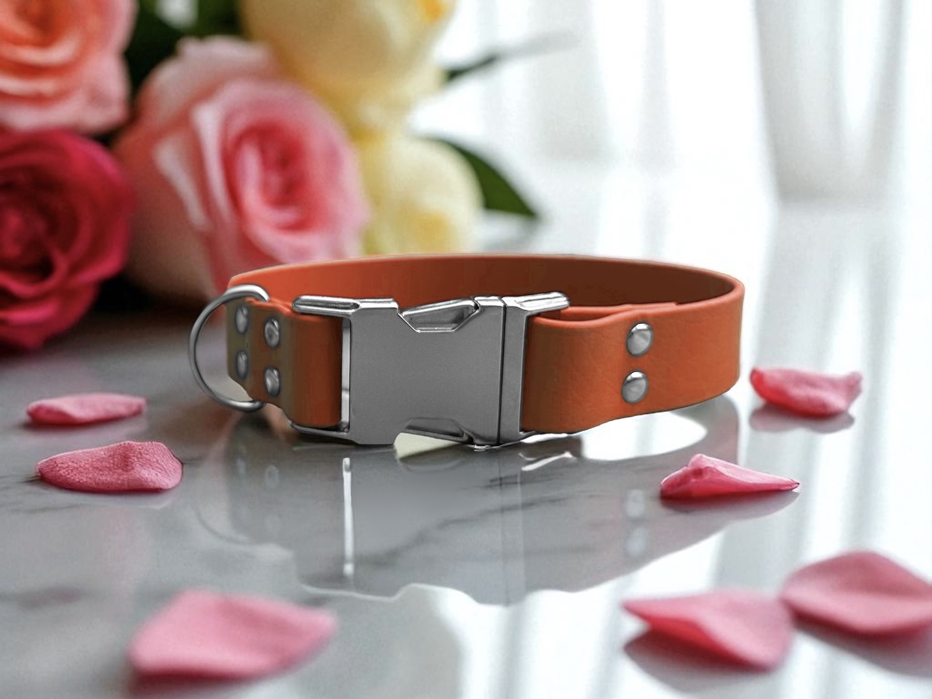 Collier en biothane de 2,5cm d'épaisseur