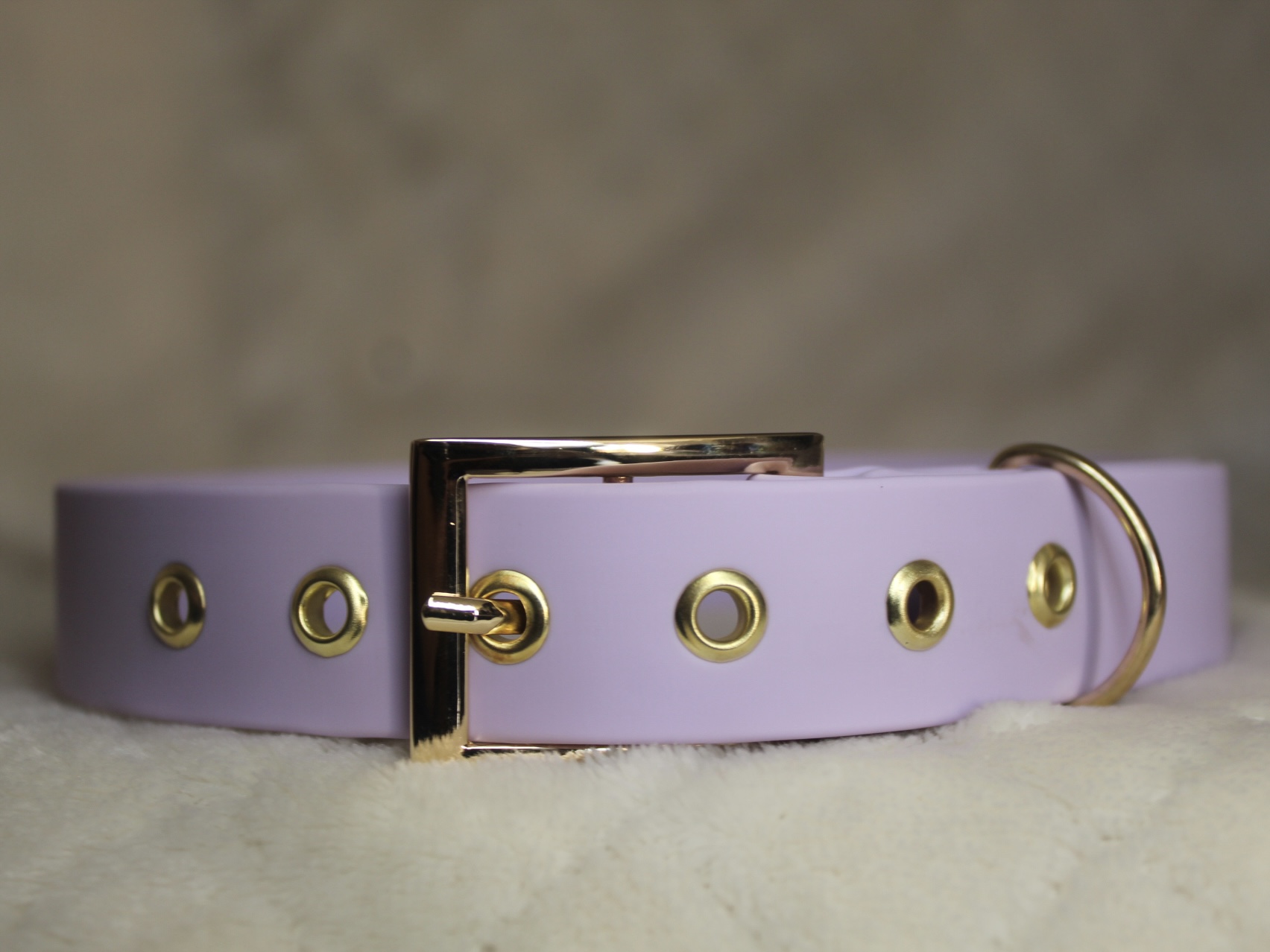 Collier en biothane de 2,5cm d'épaisseur