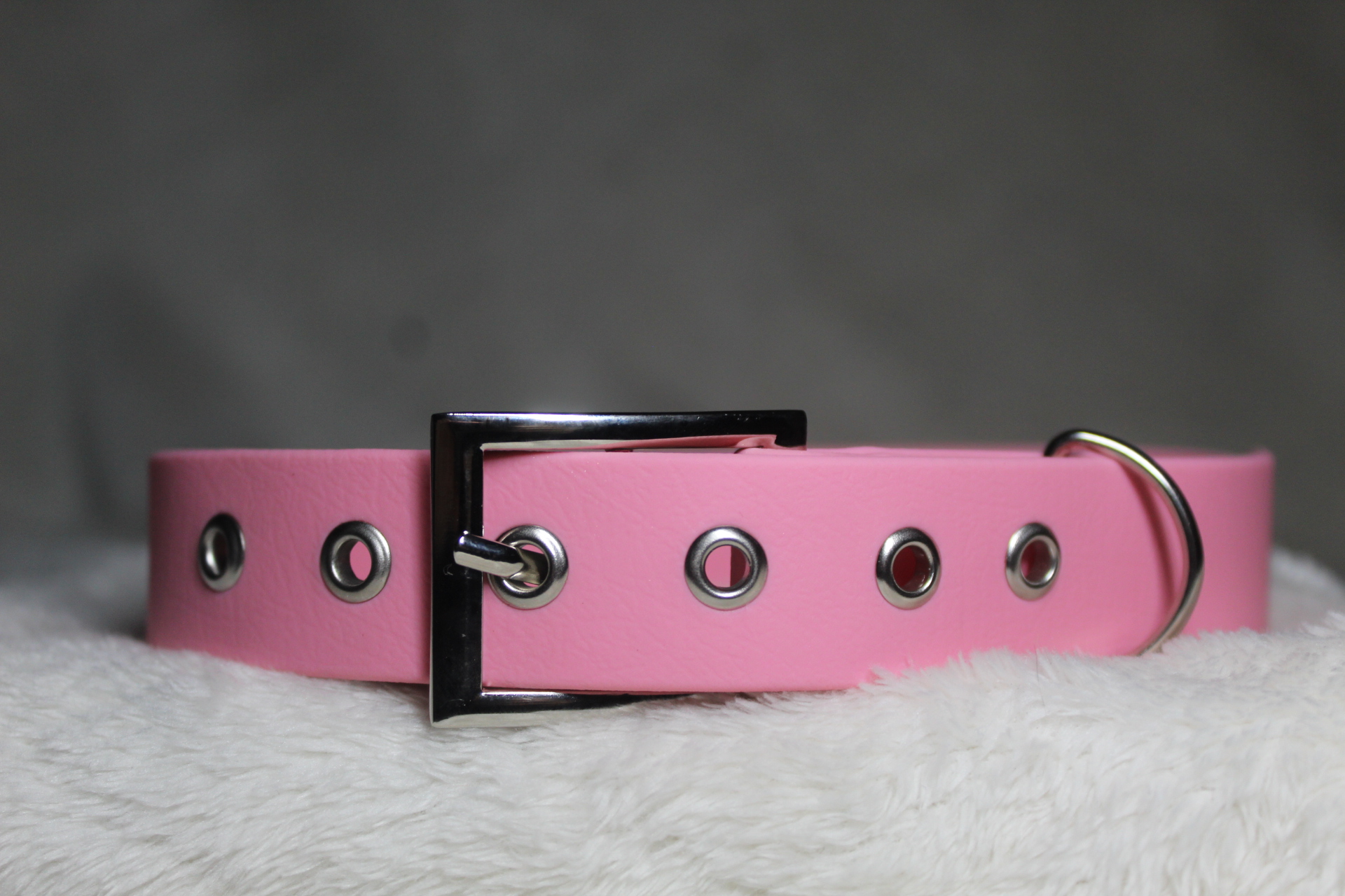 Collier en biothane de 2,5cm d'épaisseur