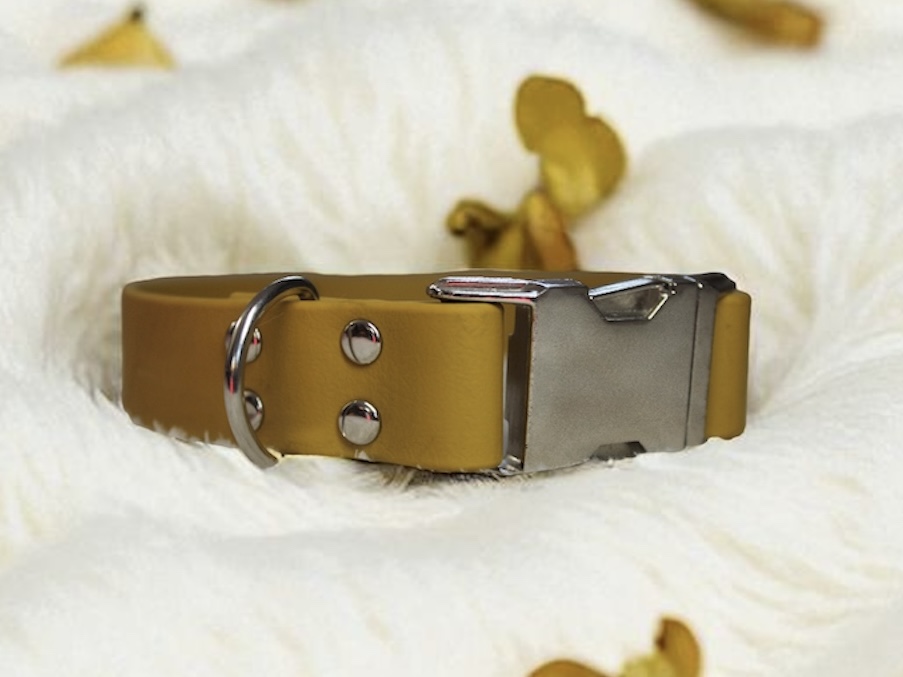 Collier en biothane de 2,5cm personnalisé sur le collier lui même avec la police n°8