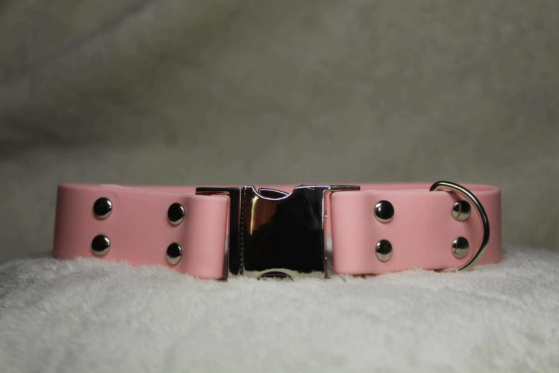 Collier en biothane de 2,5cm d'épaisseur