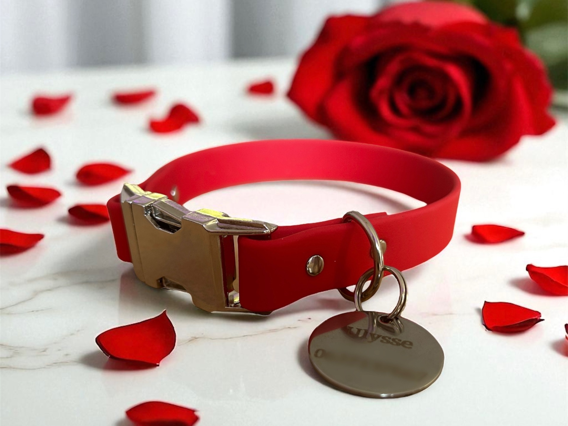 Collier de 1,9 cm de largeur avec une médaille ronde