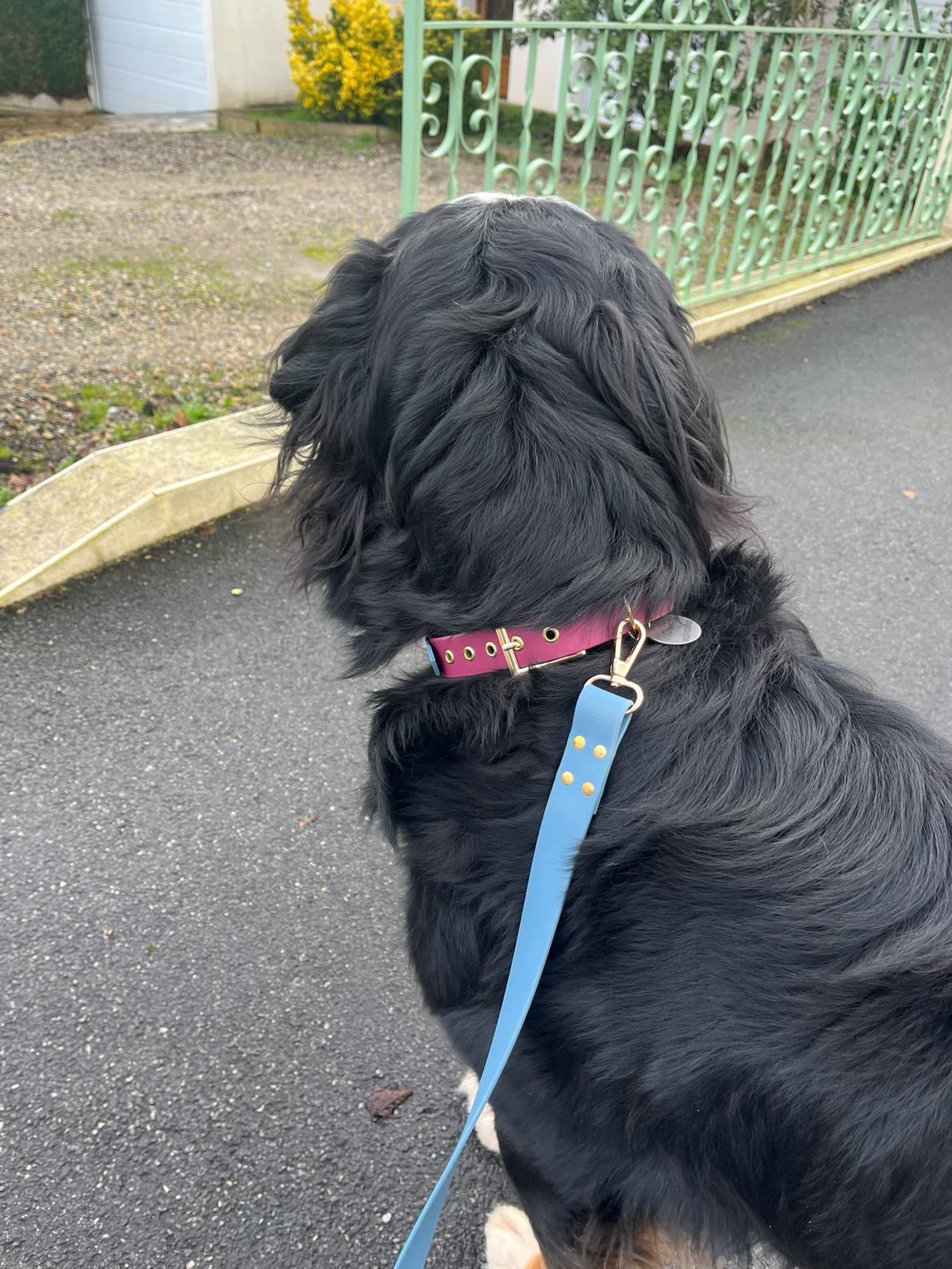 Collier Bicolore Réglable "Le duoflex "