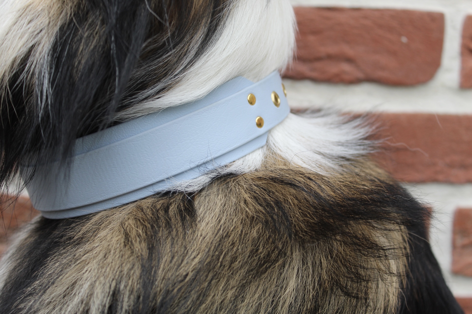 Collier réglable unicolore "Flexipaw Max"