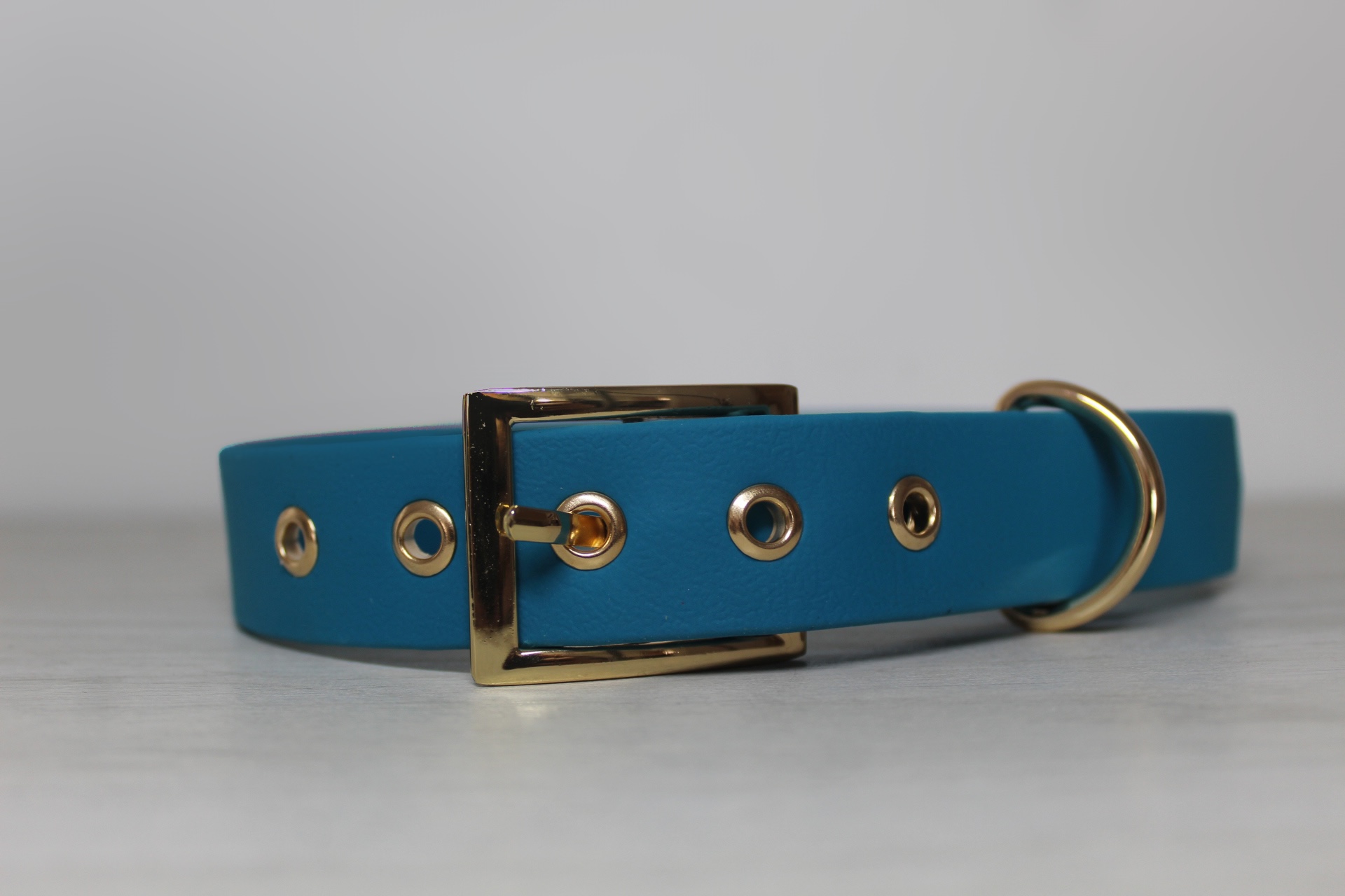 Collier Flexipaw Lagune en 2,5cm de largeur