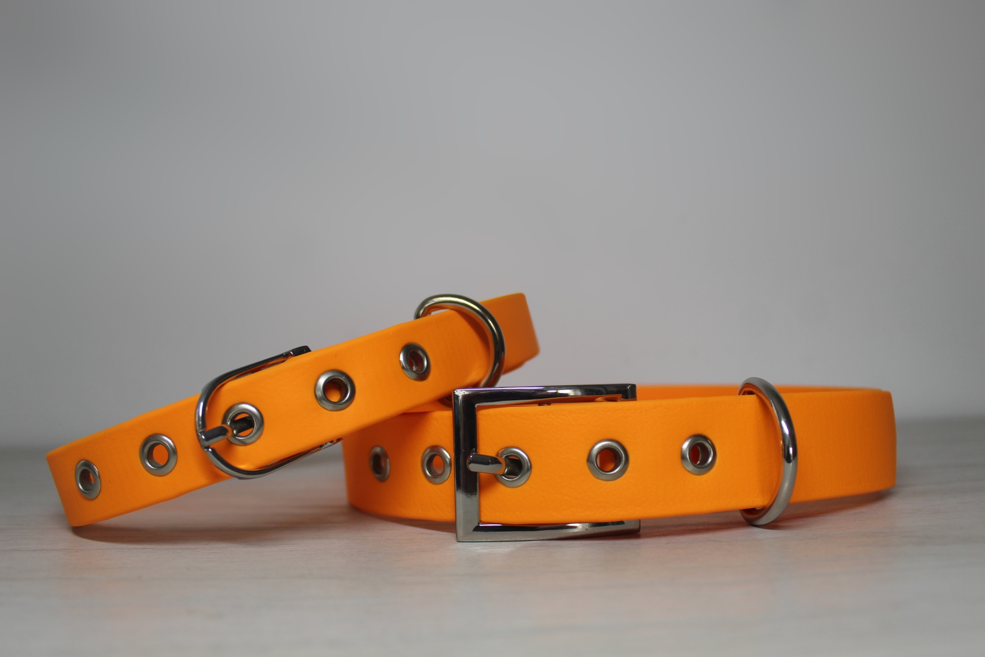 Colliers Flexipaw Orange en 2,5cm et 1,9cm de largeur