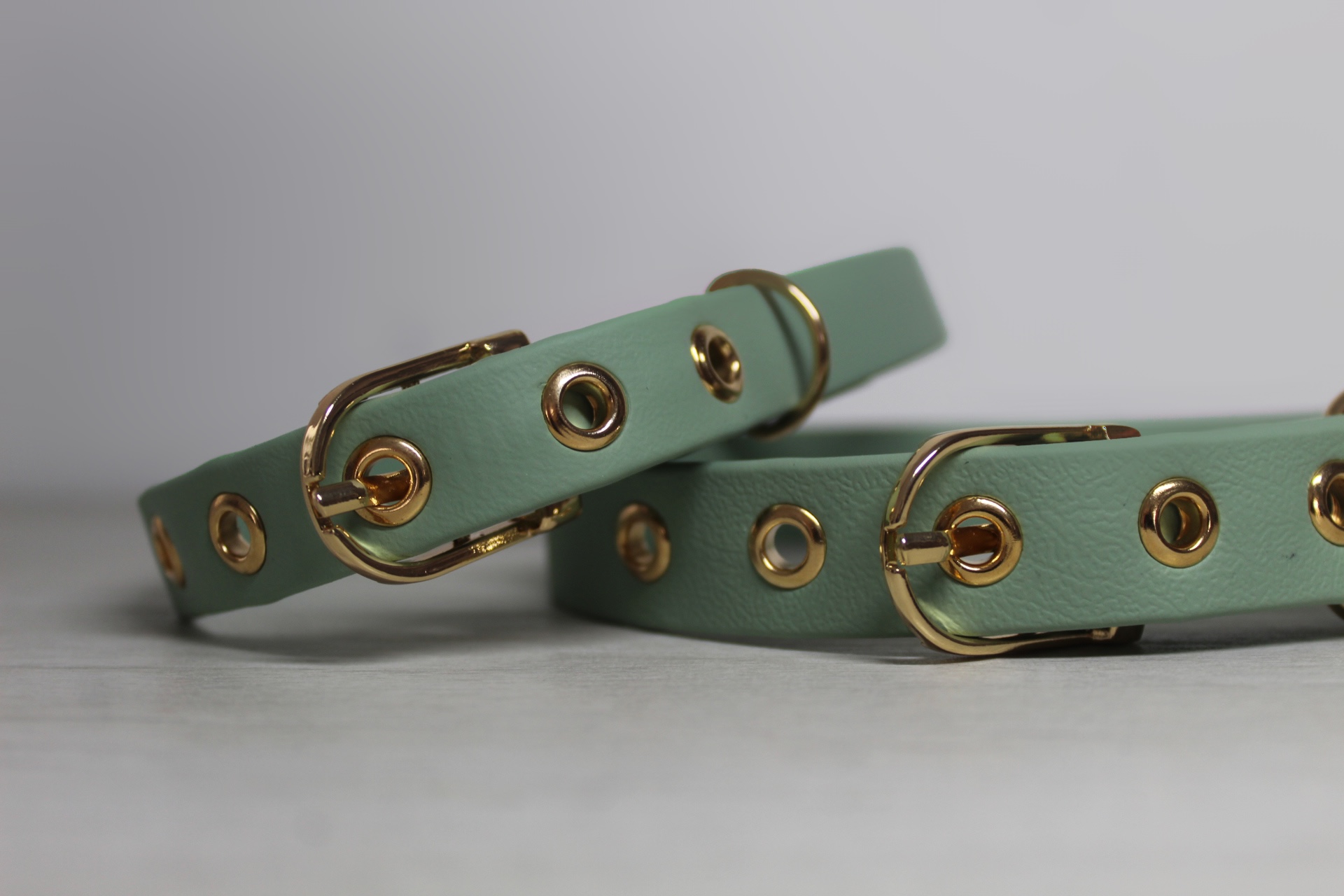 Collier Flexipaw Vert Sauge