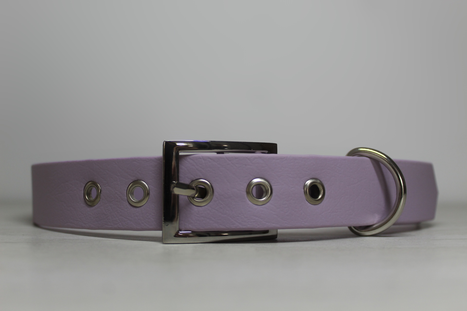 Collier flexipaw violet pastel de 2,5cm d'épaisseur bouclerie argentée