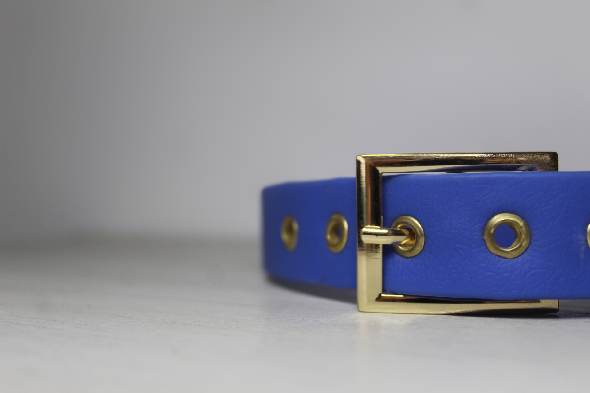 Collier Paw Flex Bleu Roi