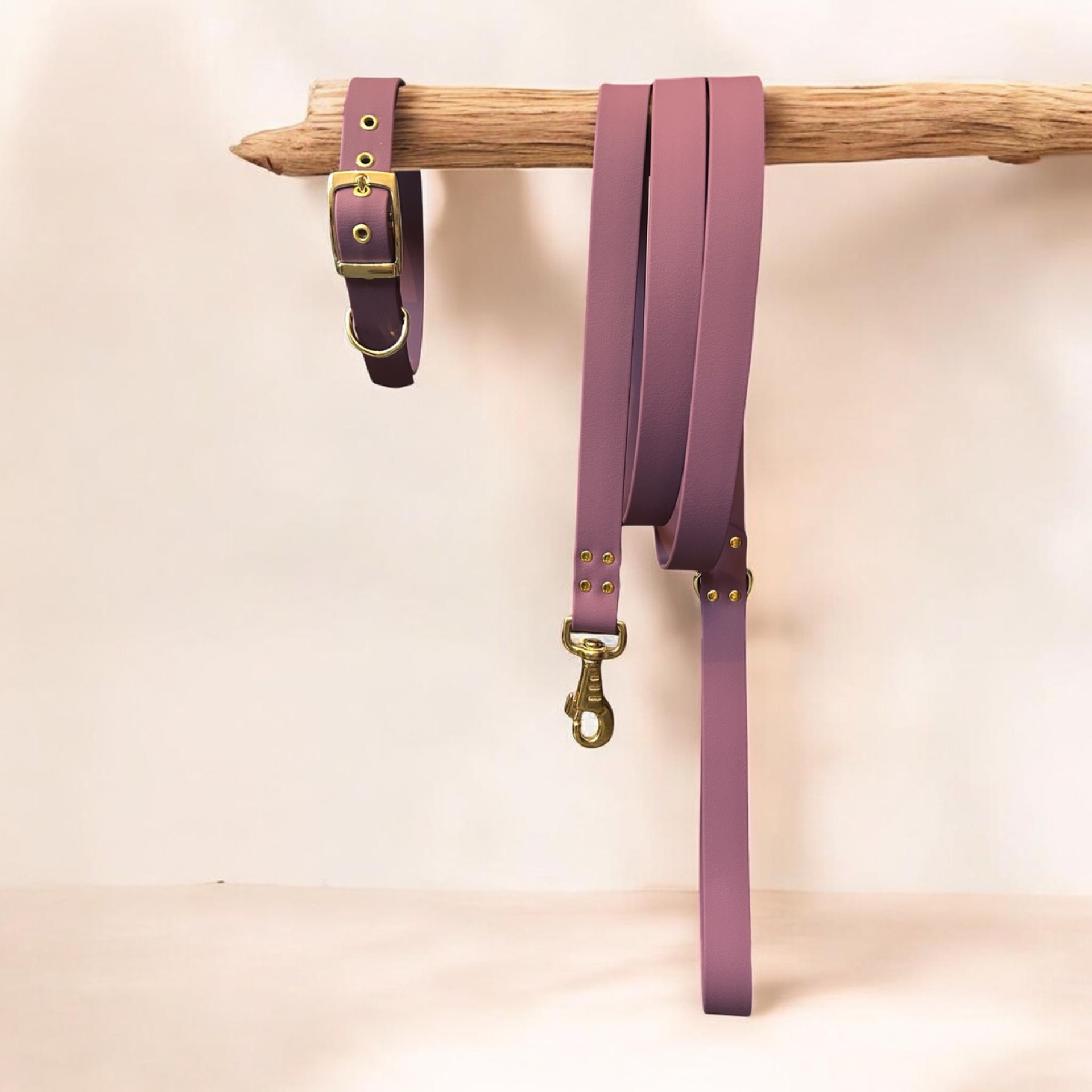 Laisse Pawtex Violet