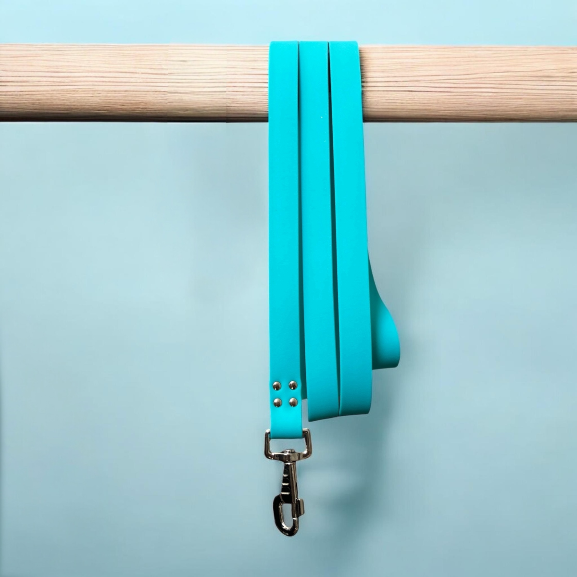 Laisse Pawtex Turquoise