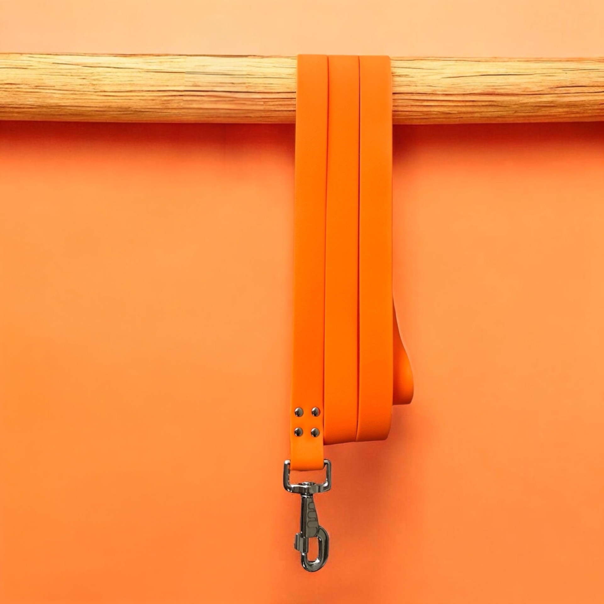 Laisse Pawtex Orange