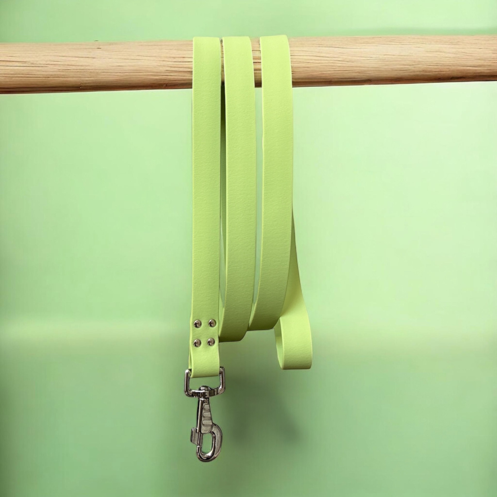 Laisse Pawtex Olive