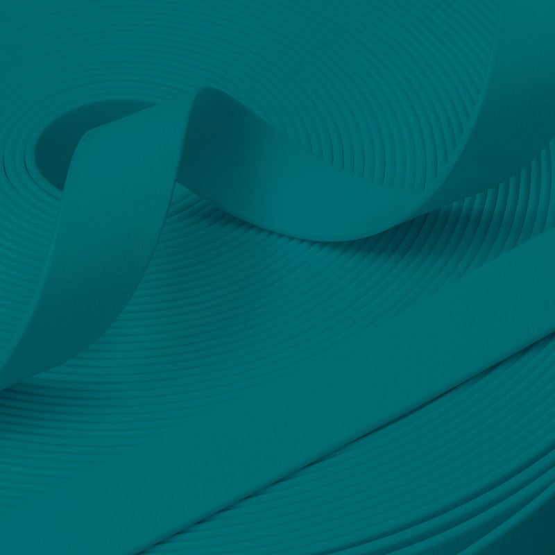 Laisse Pawtex Teal