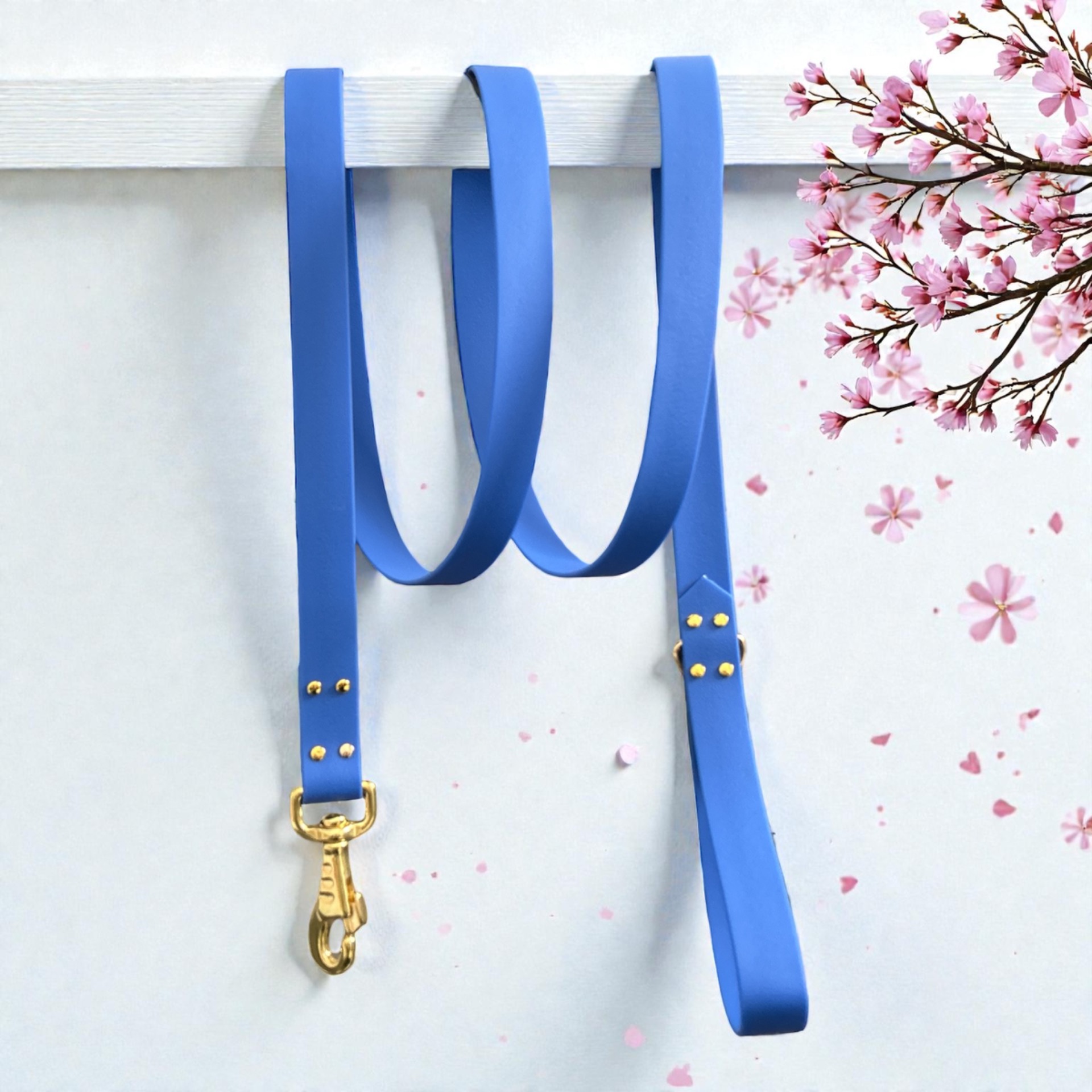 Laisse Pawtex Bleu Roi