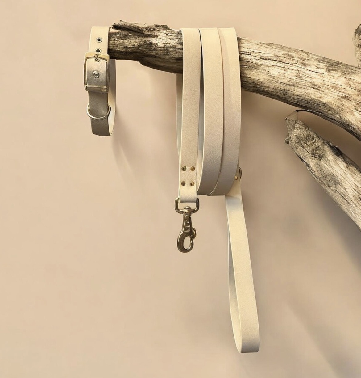 Laisse Pawtex Beige